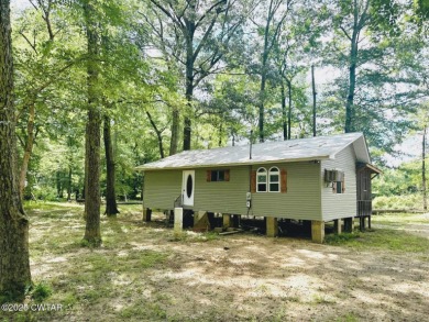 (private lake, pond, creek) Home For Sale in Brownsville Tennessee