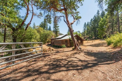 Step back in time with this classic 1940s vintage cabin - photo 27