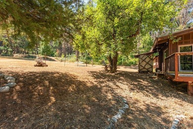 Step back in time with this classic 1940s vintage cabin - photo 31