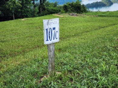 0.66 AC W/ A YEAR AROUND DALE HOLLOW LAKE - photo 6