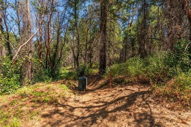 Step back in time with this classic 1940s vintage cabin - photo 36