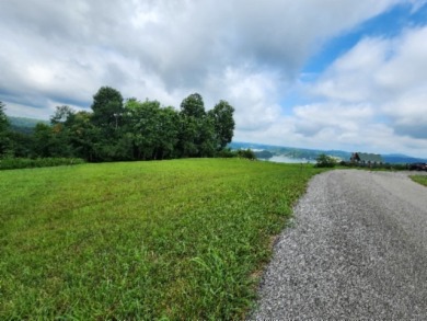0.66 AC W/ A YEAR AROUND DALE HOLLOW LAKE - photo 11