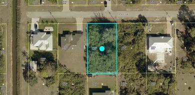 Lehigh Acres Area Lot For Sale in Lehigh Acres Florida