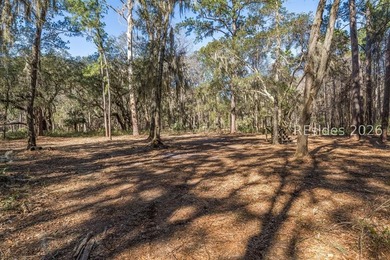 Experience the beauty and quiet elegance of Spring Island living - photo 1