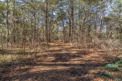 Experience the beauty and quiet elegance of Spring Island living - photo 2