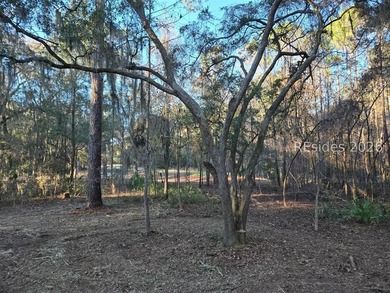 Experience the beauty and quiet elegance of Spring Island living - photo 3