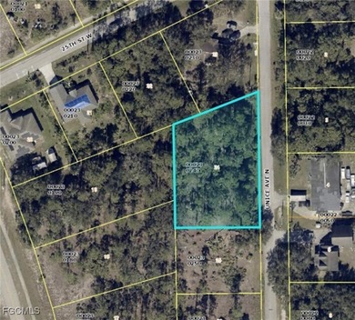 Lehigh Acres Area Lot For Sale in Lehigh Acres Florida