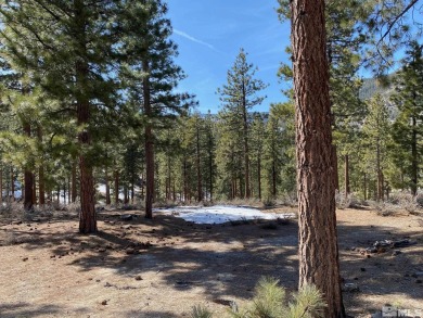 Lake Tahoe - Douglas County Lot For Sale in Carson City Nevada