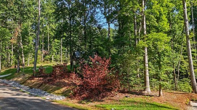 Discover the perfect place to build your dream home in the - photo 10