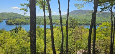 NEW LISTING! Voluminous views and privacy from this LIKE NEW - photo 2