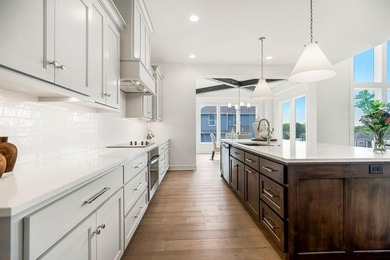 Introducing the Biscayne in Parkside Reserve. This home is - photo 18