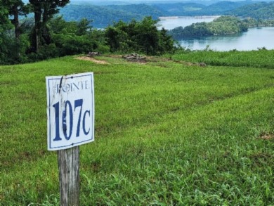 0.66 AC W/ A YEAR AROUND DALE HOLLOW LAKE - photo 7