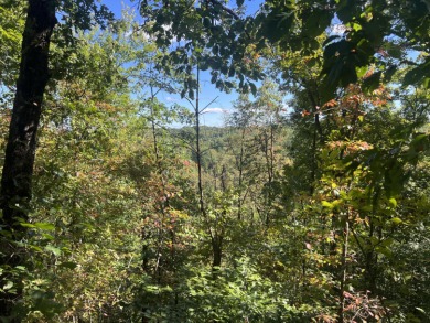 (private lake, pond, creek) Acreage Sale Pending in Salyersville Kentucky