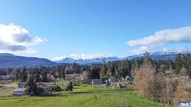 Set on 1.3 acres with beautiful mountain views, this property - photo 42