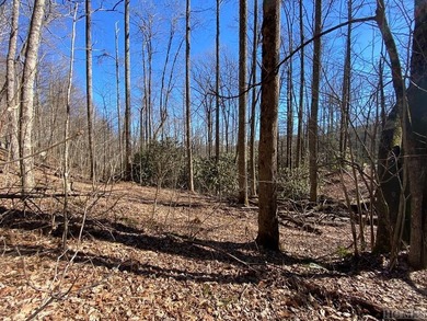 Wonderful 5 acre parcel in the Estates section of GlenCove - photo 3
