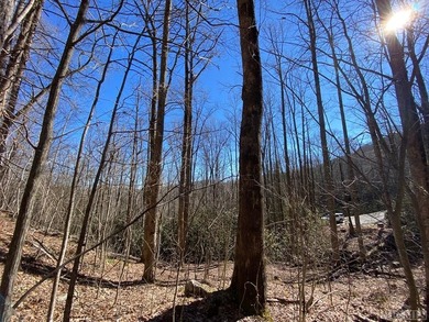 Wonderful 5 acre parcel in the Estates section of GlenCove - photo 4