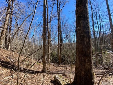 Wonderful 5 acre parcel in the Estates section of GlenCove - photo 5