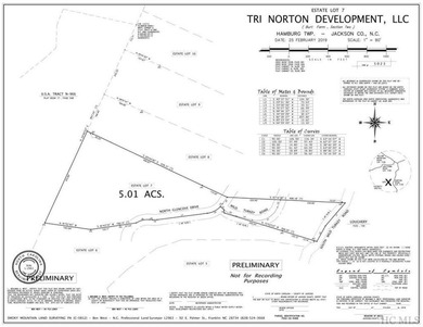 Wonderful 5 acre parcel in the Estates section of GlenCove - photo 8