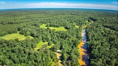 (private lake, pond, creek) Acreage For Sale in Douglass Texas