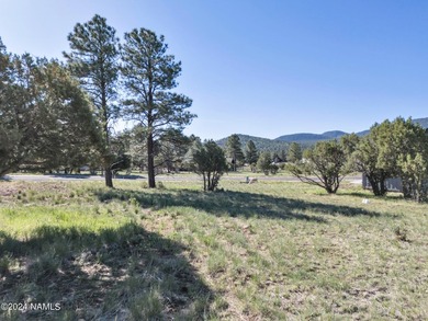 Rare opportunity to own one of the last treed lots in Highland - photo 1