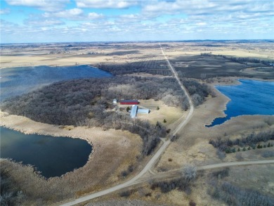 (private lake, pond, creek) Home For Sale in Farwell Minnesota