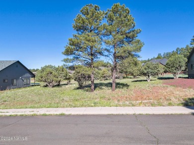 Rare opportunity to own one of the last treed lots in Highland - photo 2