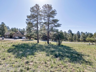 Rare opportunity to own one of the last treed lots in Highland - photo 3