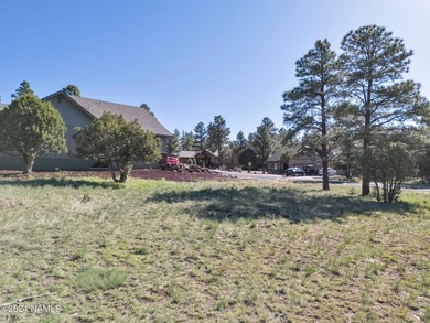 Rare opportunity to own one of the last treed lots in Highland - photo 5