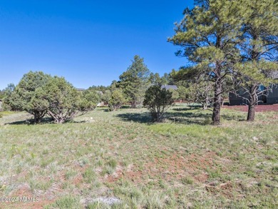 Rare opportunity to own one of the last treed lots in Highland - photo 6
