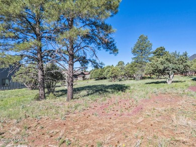 Rare opportunity to own one of the last treed lots in Highland - photo 7