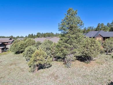 Rare opportunity to own one of the last treed lots in Highland - photo 8