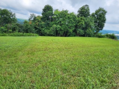 0.66 AC W/ A YEAR AROUND DALE HOLLOW LAKE - photo 3