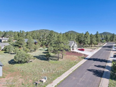 Rare opportunity to own one of the last treed lots in Highland - photo 9