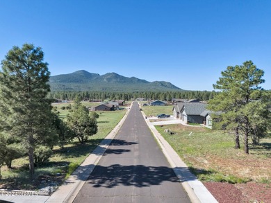 Rare opportunity to own one of the last treed lots in Highland - photo 10