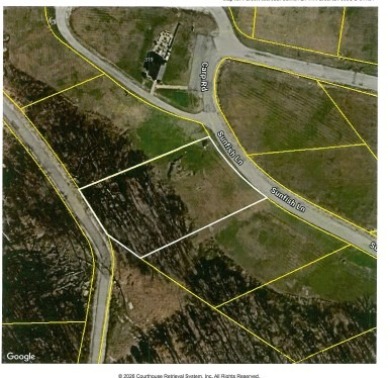 0.66 AC W/ A YEAR AROUND DALE HOLLOW LAKE - photo 12