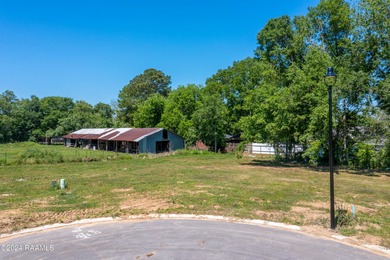 (private lake, pond, coastal) Lot Sale Pending in Lafayette Louisiana