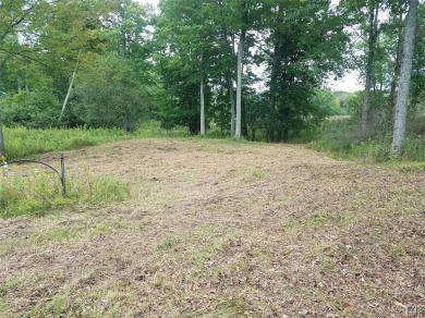 St. Lawrence River - Jefferson County Lot For Sale in Wellesley Island New York