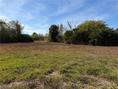 Residential Lot with an irregular size. Fresh Water - photo 2
