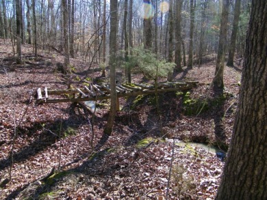 14.5 Acre Estate Lot @ Lake Richard B Russell - photo 10