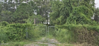 (private lake, pond, creek) Lot For Sale in Deltona Florida