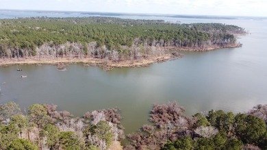 Lake Acreage For Sale in Broaddus, Texas