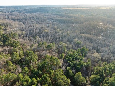 Texas recreational property with fishing lake access. The 5-acre - photo 2