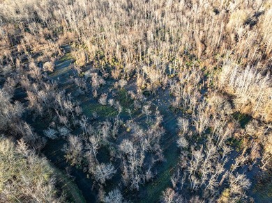 Texas recreational property with fishing lake access. The 5-acre - photo 3