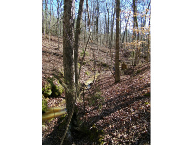 14.5 Acre Estate Lot @ Lake Richard B Russell - photo 11