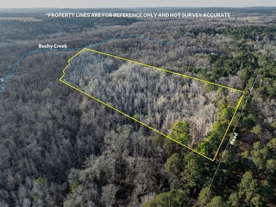 Texas recreational property with fishing lake access. The 5-acre - photo 5
