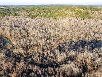 Texas recreational property with fishing lake access. This - photo 4