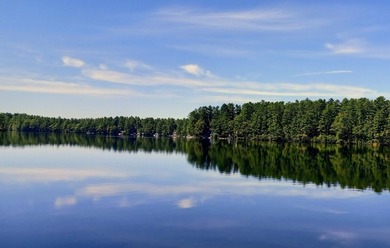 Welcome to Watchic Lake -- where every day feels like a getaway - photo 29