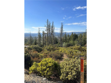 Lake Acreage For Sale in Upper Lake, California