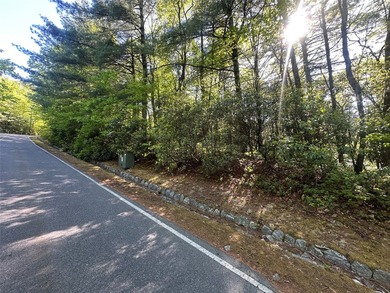 Lake Toxaway Lot For Sale in Lake Toxaway North Carolina