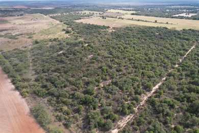Lake Fort Phantom Hill Acreage For Sale in Abilene Texas